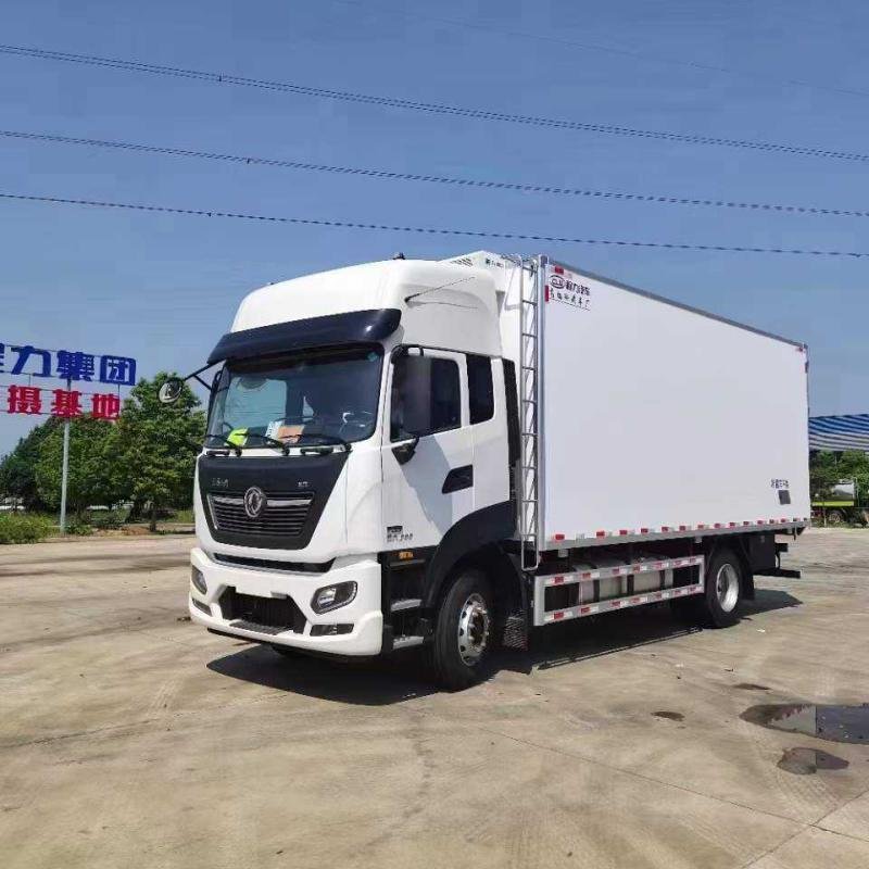 SINOTRUK ZZ5047XLCH 4x2 Refrigerated Box Truck -25°C to -5°C 6000mm Cargo