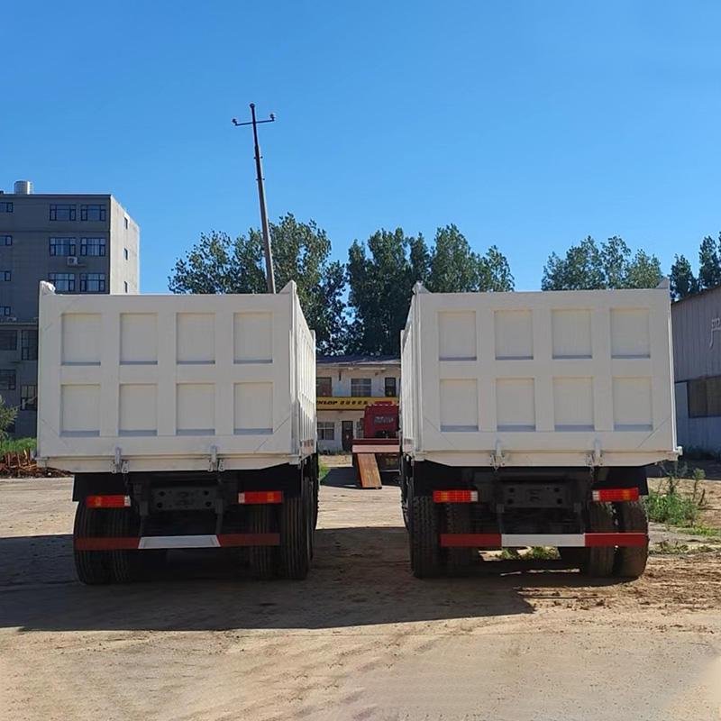 SINOTRUK HOWO 6x4 10-Wheel Heavy-Duty Mining Dump Truck