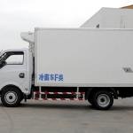 Dongfeng T5 4x2 95hp Refrigerated Box Truck