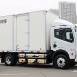 Isuzu 4x2 10 Ton Refrigerated Truck