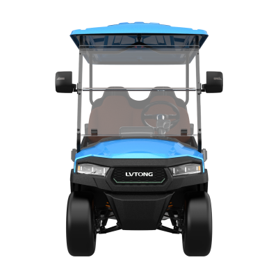Electric 4-Seater Golf Cart 4kW 48V Low-Speed Utility Vehicle