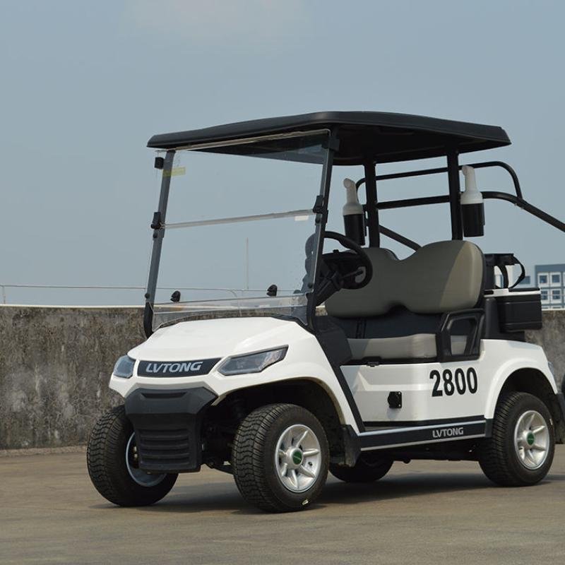 LVTONG LT-A827.2 Electric Utility Cart 48V 4KW 2-Seater Low-Speed Vehicle