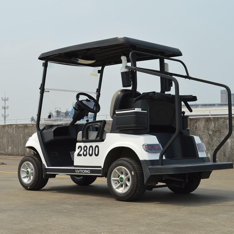LVTONG LT-A827.2 Electric Utility Cart 48V 4KW 2-Seater Low-Speed Vehicle