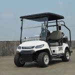 LVTONG LT-A827.2 Electric Utility Cart 48V 4KW 2-Seater Low-Speed Vehicle