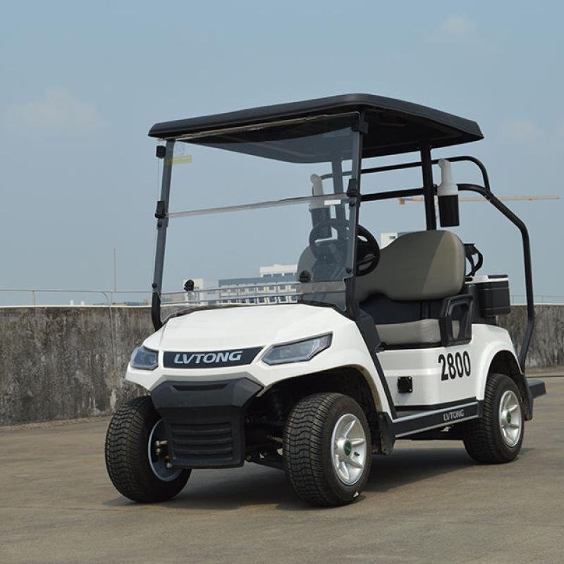 LVTONG LT-A827.2 Electric Utility Cart 48V 4KW 2-Seater Low-Speed Vehicle