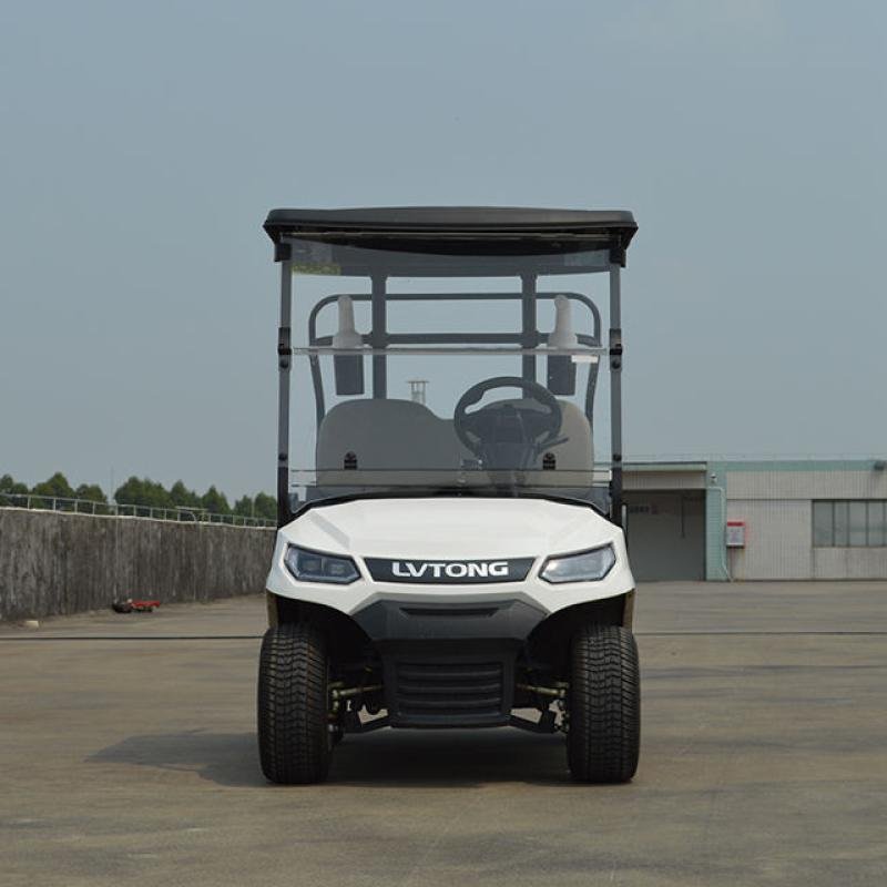 LVTONG LT-A827.2 Electric Utility Cart 48V 4KW 2-Seater Low-Speed Vehicle