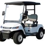 LVTONG 48V 4KW 2-Seater Electric Golf Buggy Cart