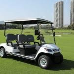 LVTONG 48V 4KW Electric 4-Seater Golf Cart