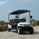 LVTONG 48V 4kW 4x4 Electric 6-Seater Golf Cart