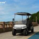 LVTONG 48V 4kW 4x4 Electric 6-Seater Golf Cart