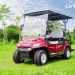 6-Seater Electric Golf Cart | 48V Low-Speed Utility Vehicle