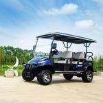 6-Seater Electric Golf Cart | 48V Low-Speed Utility Vehicle