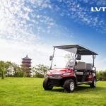6-Seater Electric Golf Cart | 48V Low-Speed Utility Vehicle