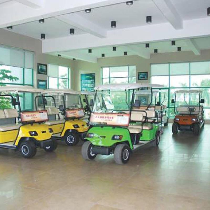 LvTong 48V 4KW Electric 6-Seater Utility Golf Cart
