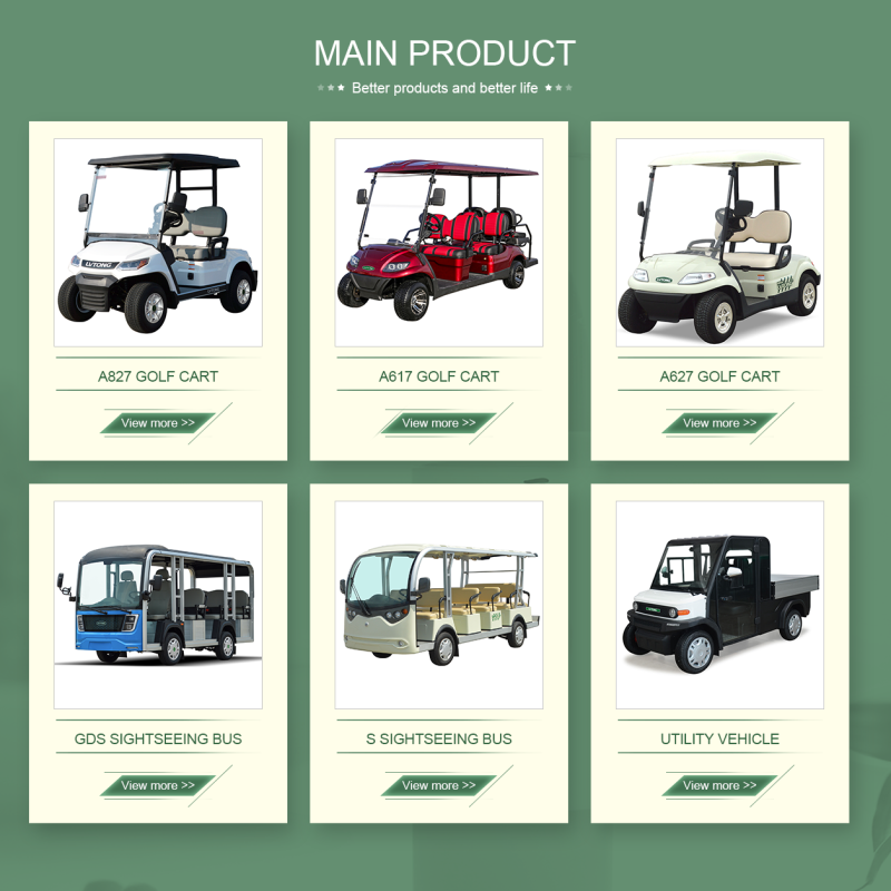 Lvtong 72V 200Ah Lithium 8-Seater Electric Shuttle Bus