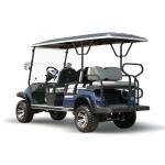 LVTONG 48V 4KW 4-Wheel Electric Golf Cart Club Car