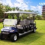 LVTONG 4-Seater Electric Golf Cart 48V 4KW Lifted Utility Vehicle