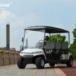 Electric 48V 4WD Multi-Seater Off-Road Utility Cart