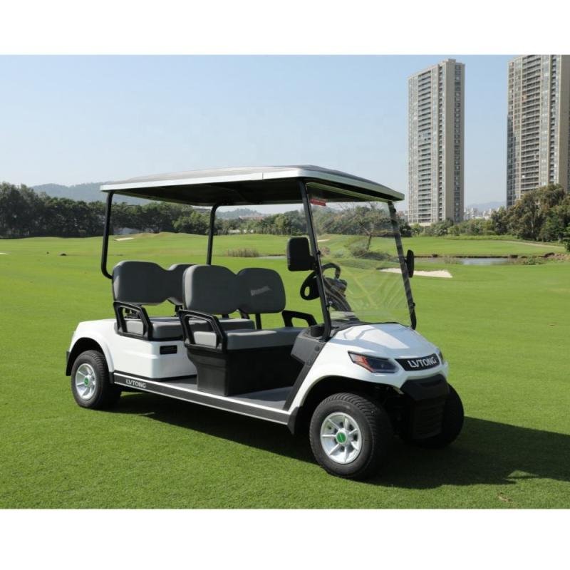 Electric 48V 4KW 2-Seater Golf Cart for Family & Hunting