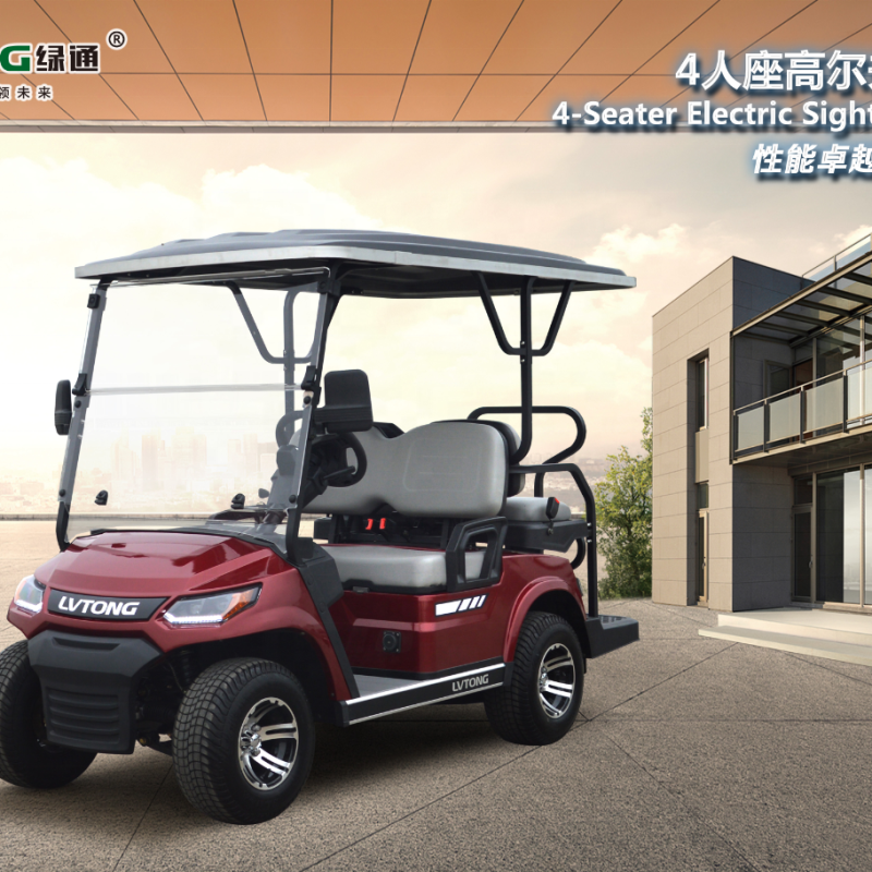 Electric 48V 4KW 2-Seater Golf Cart for Family & Hunting