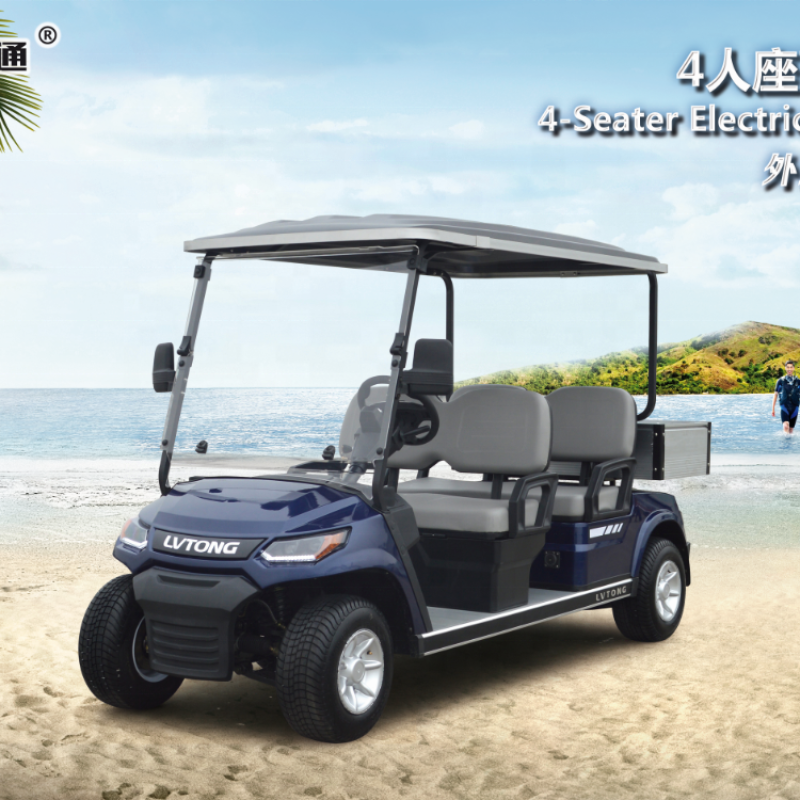 Electric 48V 4KW 2-Seater Golf Cart for Family & Hunting