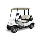 Lvtong LT-A627.2 2-Seater Electric Golf Cart Low-Speed Utility Vehicle