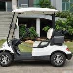 LvTong LT-A627.2 48V 2-Seater Electric Golf Cart