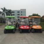 Lvtong Electric 2-Passenger Low-Speed Golf Cart (LT-A627.2)
