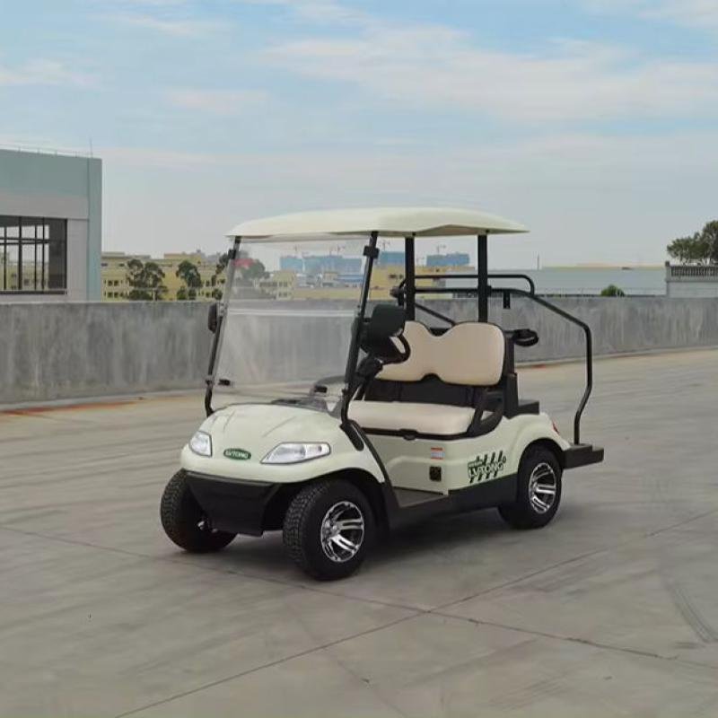 Club Car 48V 4KW Electric Mini Golf Cart 2-Seater
