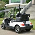 Electric 48V 4kW 2-Seater Utility Shuttle