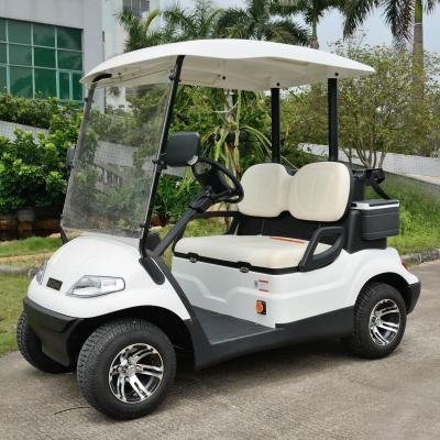 Electric 48V 4kW 2-Seater Utility Shuttle