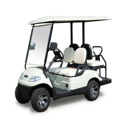 Lvtong LT-A627.2 Electric 2-Seater Low-Speed Golf Cart