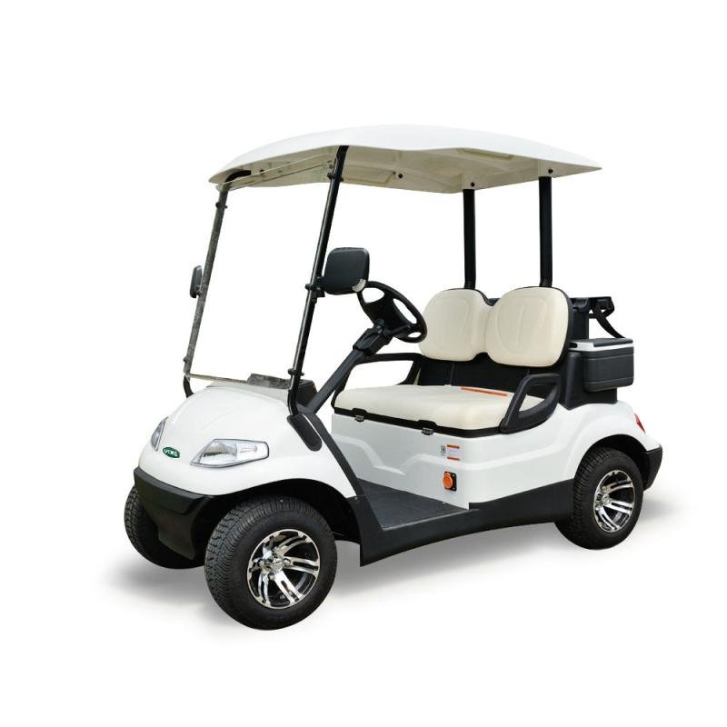 Lvtong LT-A627.2 Electric 2-Seater Low-Speed Golf Cart