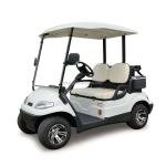 LVTONG 48V Electric 4-Passenger Commercial Utility Cart