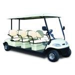 LVTONG 48V Electric 4-Passenger Commercial Utility Cart