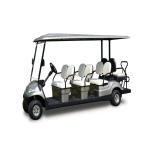LVTONG 48V Electric 4-Passenger Commercial Utility Cart
