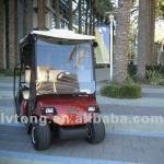 LVTONG LT-A2 Electric 2-Seater Low-Speed Sightseeing Car