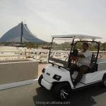 LVTONG LT-A2+2 Electric 4-Seater Golf Buggy – 48V Low Speed Utility Vehicle