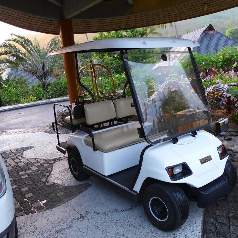 LVTONG 48V 4KW 4-Seater Electric Golf Cart