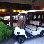 LVTONG 48V 4KW 4-Seater Electric Golf Cart