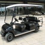 Lvtong 48V 3.7kW Electric 6-Seater Low-Speed Sightseeing Cart