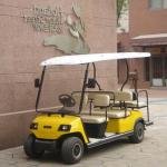 Lvtong 48V 3.7kW Electric 6-Seater Low-Speed Sightseeing Cart