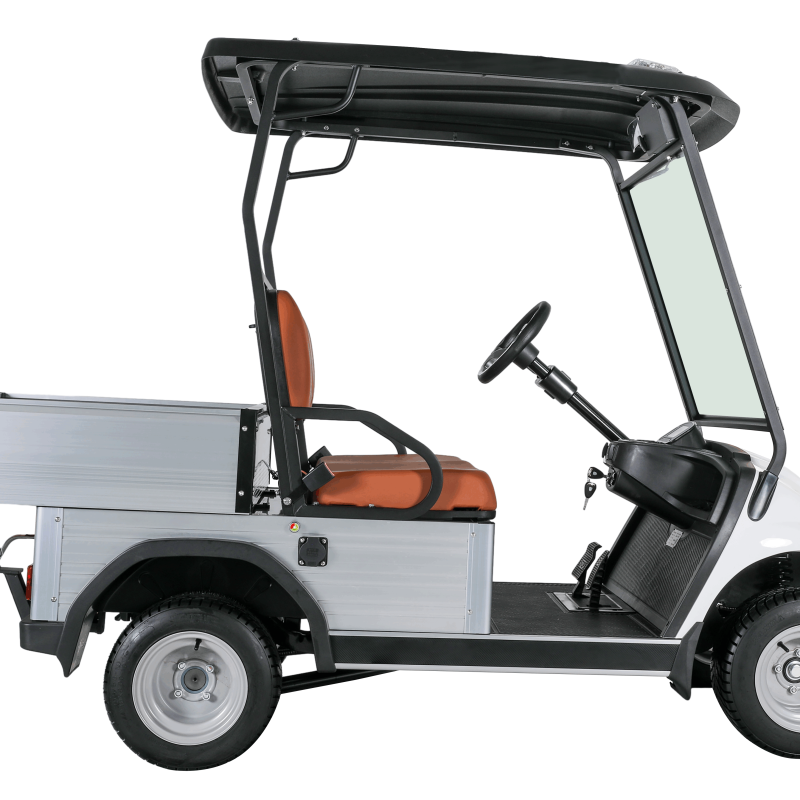 Electric 2-Seat Commercial Utility Cart with Cargo Box