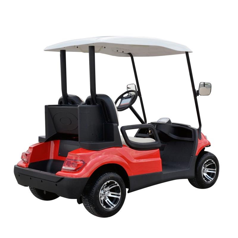 LVTONG LT-A617.2 Electric 48V 4KW 2-Seater Golf Cart