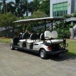 Lvtong 48V 4kW Electric 8-Seater Low-Speed Resort Cart