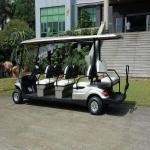 Lvtong 48V 4kW Electric 8-Seater Low-Speed Resort Cart
