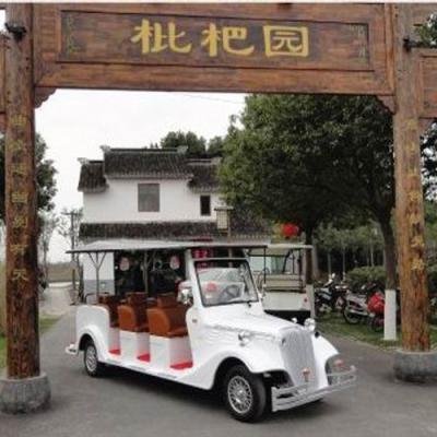 Lvtong 48V 3.7KW Electric 8-Passenger Golf Buggy