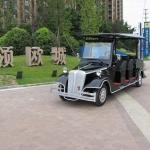 Lvtong LT-S8.FA 48V 5KW Electric Wedding & Resort Shuttle Cart (7-8 Passenger)