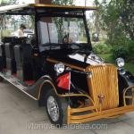 LVTONG 8-Passenger Electric Low-Speed Sightseeing Cart