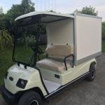 Lvtong LT-A2.GC 48V 2-Seater Electric Golf Cart
